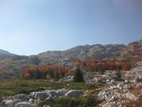 Auf der Fahrt in Richtung Niksic