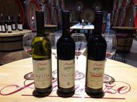 Weingut Sipcanik Verkostung