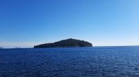 178 - Insel Lokrum, Dubrovnik, Kroatien