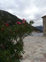 Klosterinsel Maria am Felsen