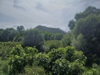 20240519_154626[1].jpg