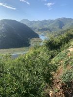 Der Fluss Rijeka Crnojevica