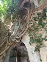 In der Altstadt von Bar