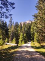 Aussicht auf das Durmitor Gebirge