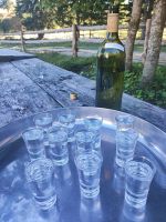 Glas Klarer selbst Hergestellter Apfel Rakija