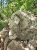 Wer sieht hier den Bären Kopf`?