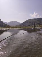 Bootsfahrt auf dem Skutarisee