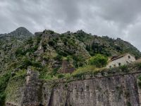 Die Festungsmauer von Kotor