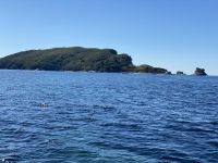 Einsame Inseln locken