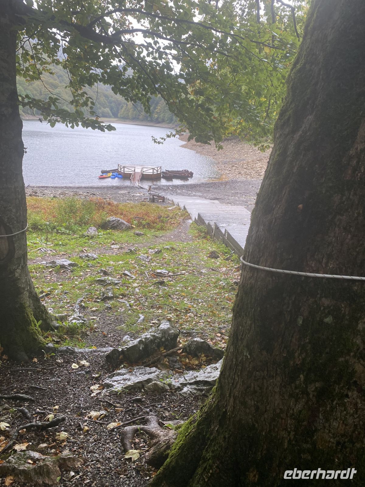 Der Biogradska Gora Nationalpark