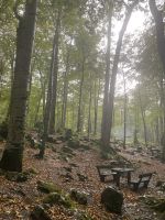 Der Biogradska Gora Nationalpark