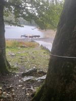 Der See im Nationalpark im Regen