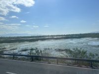 Der Skutariesee ist gleichzeitig die Grenze zu Albanien 