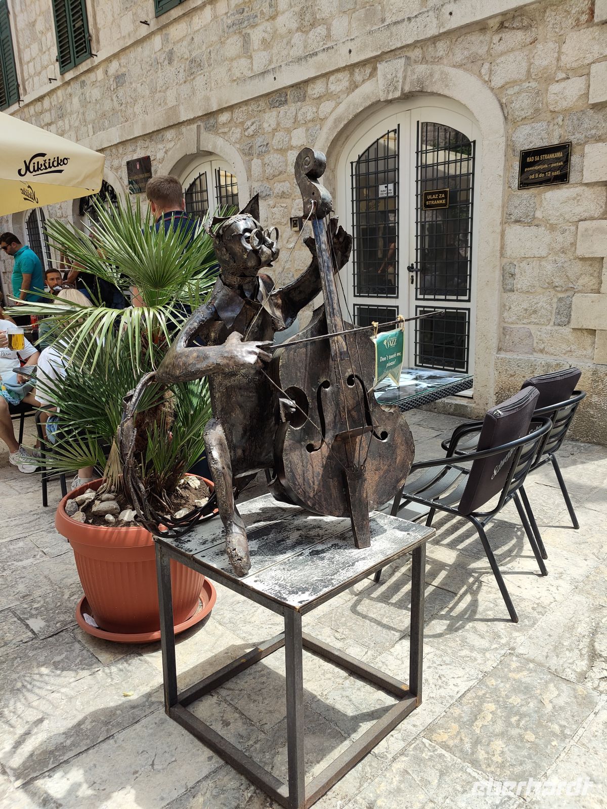 Kotor ist auch eine Katzenstadt &ndash; &copy;  (Eberhardt TRAVEL)