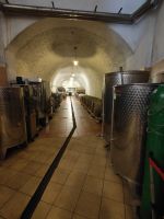 Endlich - die Weinkeller  &ndash; &copy; Marta Rass (Eberhardt TRAVEL)