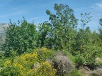 Vegetation  &ndash; &copy; Marta Rass (Eberhardt TRAVEL)