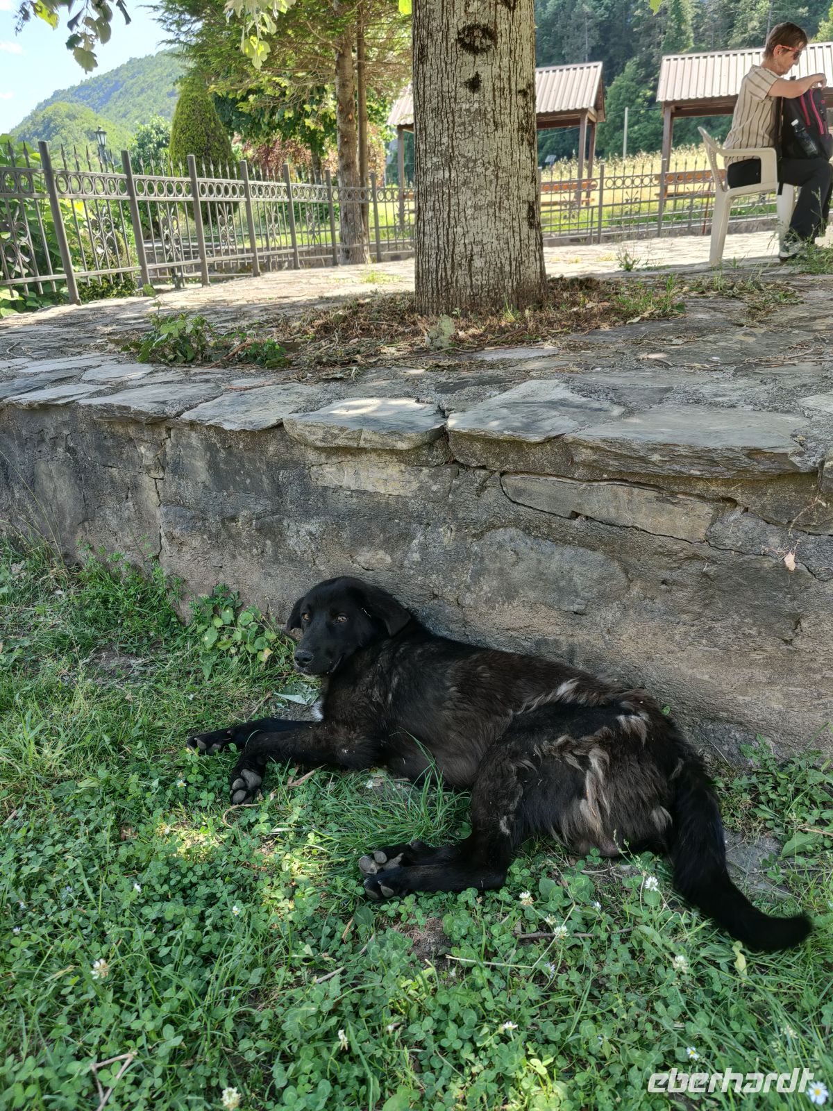 Bei der Hundehitze sucht man den Schatten &ndash; &copy;  (Eberhardt TRAVEL)