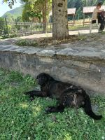 Bei der Hundehitze sucht man den Schatten &ndash; &copy; Marta Rass (Eberhardt TRAVEL)