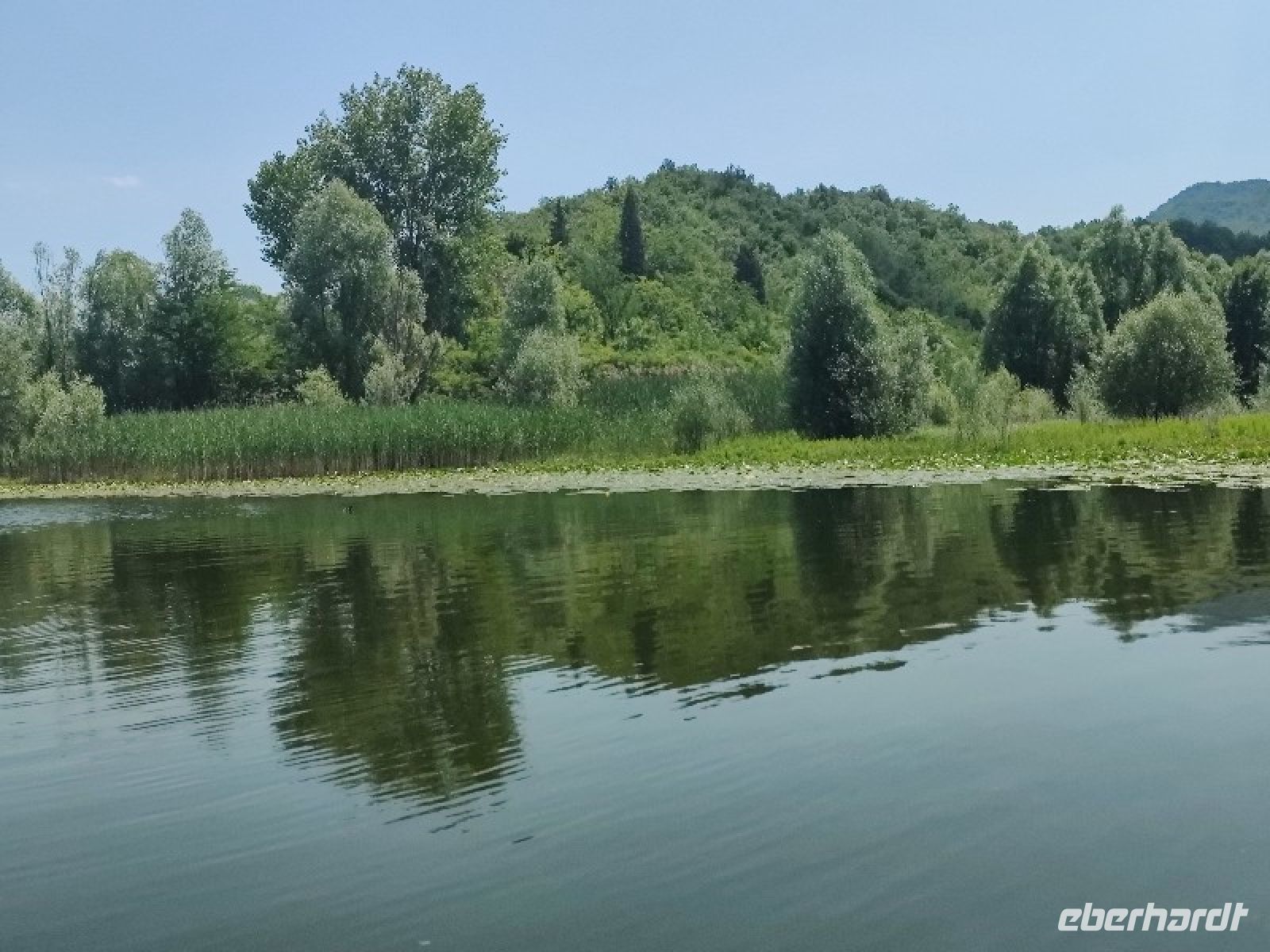 Ein Meer von Seerosen im Vordergrund &ndash; &copy;  (Eberhardt TRAVEL)