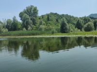 Ein Meer von Seerosen im Vordergrund &ndash; &copy; Marta Rass (Eberhardt TRAVEL)