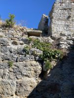 Die alte Festung von Ulcinj