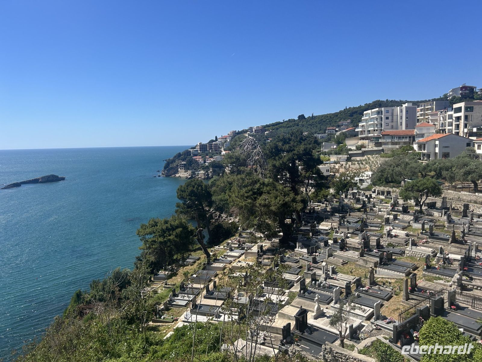 IMG_5821.jpeg