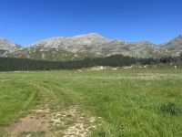 IMG_5875.jpeg