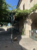 Kloster Petrovac