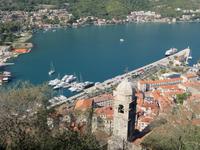 Kotor