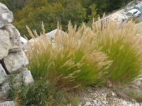 Nationalpark Lovcen