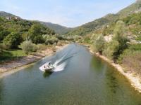 Novi Most
