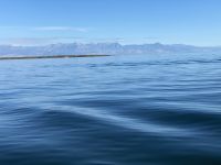 Skutarisee