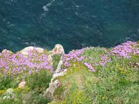 Steilküste von Port de Soller
