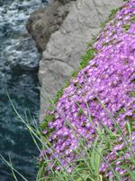 Herrliche Steilküste bei Port de Soller