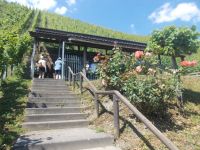 DSCN9275.JPG   röm.Kelteranlage