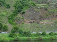 Weinanbaugebiet - Bremm Calmont &ndash; &copy; Hans-Joachim Trutz (Eberhardt TRAVEL)