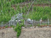 Mosel - Gerät zur Weinarbeit &ndash; &copy; Hans-Joachim Trutz (Eberhardt TRAVEL)