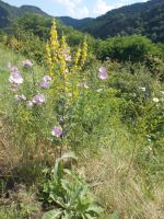 DSCN9208.JPG
