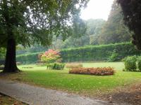 An den Blühenden Hecken