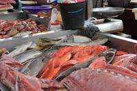 São Vicente - Mindelo - auf dem Fischmarkt