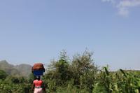 auf den Wegen von Santiago