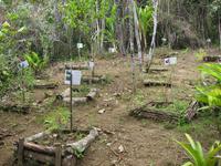 Ilhéus - an den Tijuipe-Wasserfällen