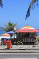 Rio de Janeiro - Stadtrundfahrt