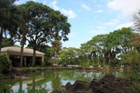 Foz do Iguaçu - Vorgarten unseres Hotels