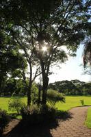 Foz do Iguaçu - Gartenanlage des Hotels
