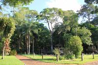 Foz do Iguaçu - Gartenanlage des Hotels
