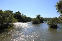 Iguazú-Wasserfälle - Natur pur!