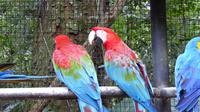 Vogelpark in Iguazu