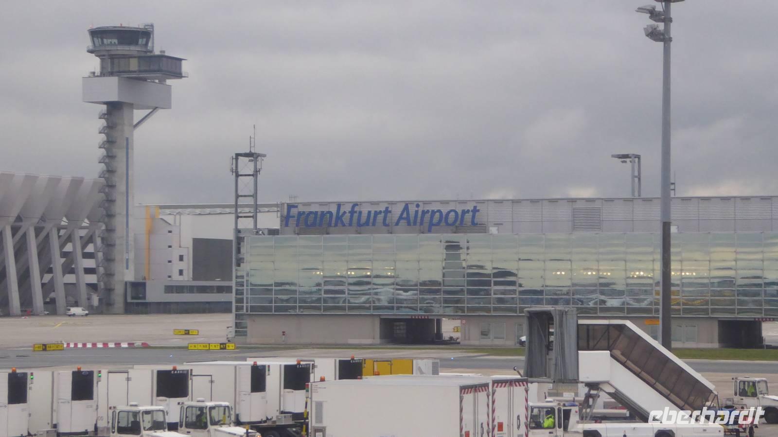 Wieder zurück in Frankfurt