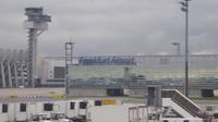 Wieder zurück in Frankfurt